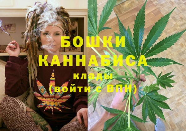 PSILOCYBIN Белоозёрский